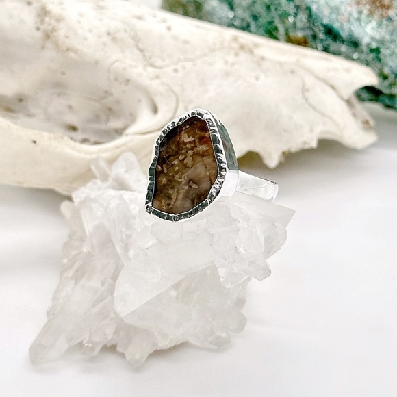 RARE Blue Forest Petrified Wood Solid Sterling Silver Ring - Picture 2 of 4
